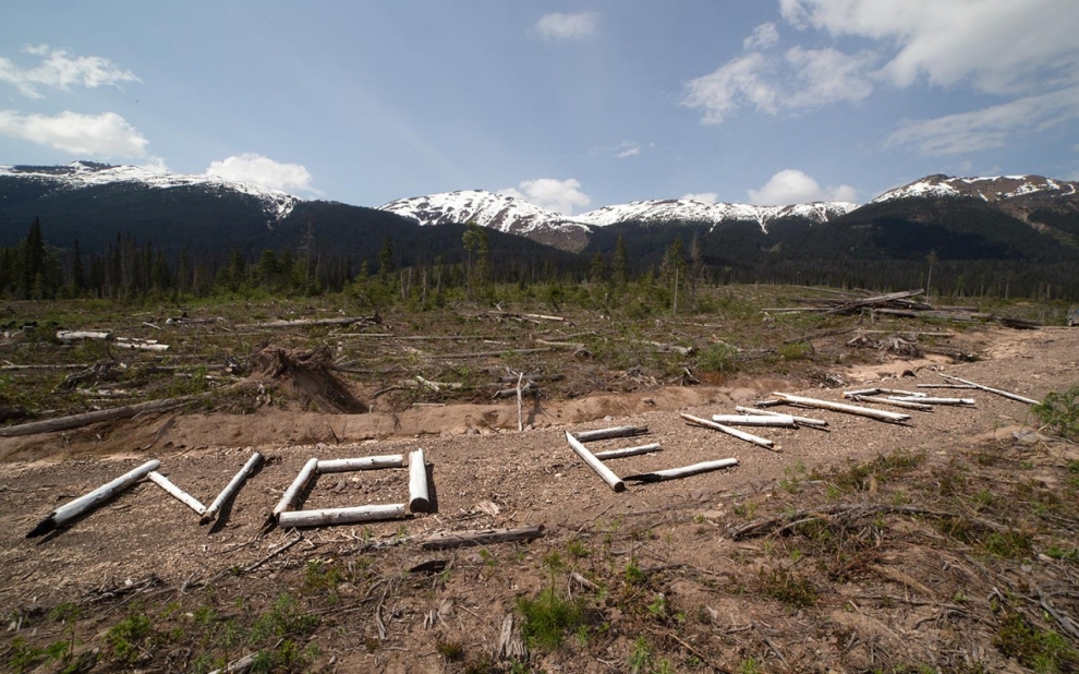 On Unist'ot'en territory, a large sign made of wood warns aircraft, “No pipelines, no entry.” Photo: Michael Toledano